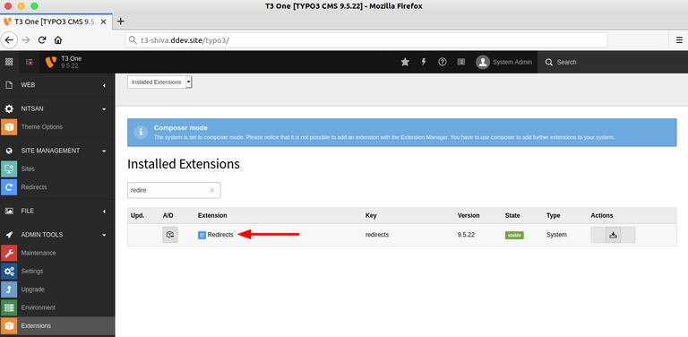 [Translate to German:] Make sure to activate TYPO3 core redirects
