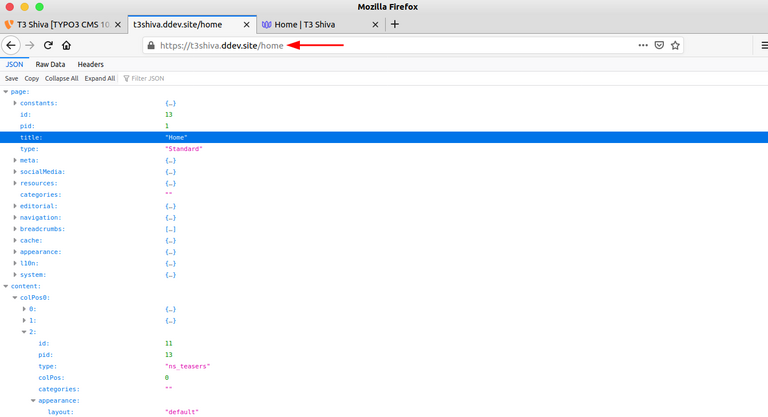TYPO3 Headless APIs Startseite