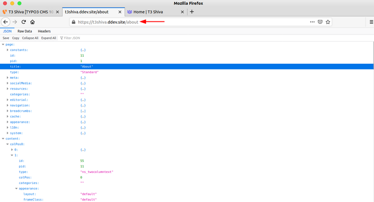 TYPO3 Headless APIs Innere Seite