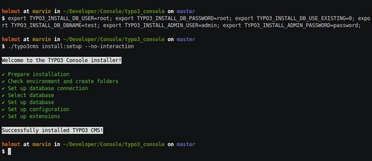 [Translate to German:] TYPO3 Console