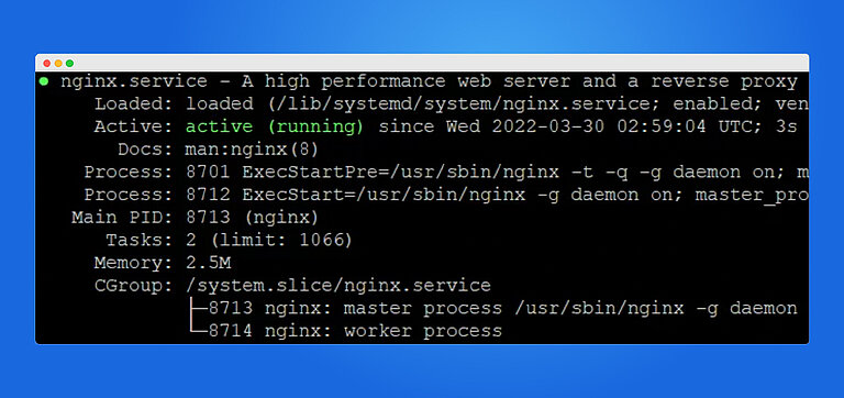 Ngix für TYPO3 AWS installieren
