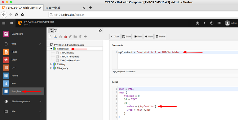 Was ist eine TypoScript-Konstante? Was ist eine TypoScript-Konstante?