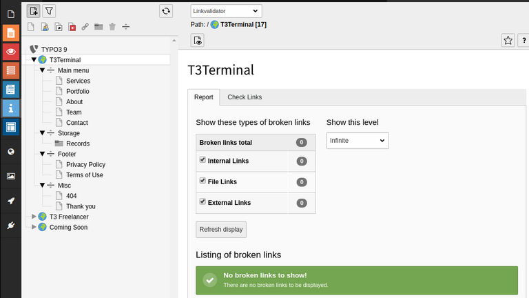 Link Validator in TYPO3 Link Validator in TYPO3