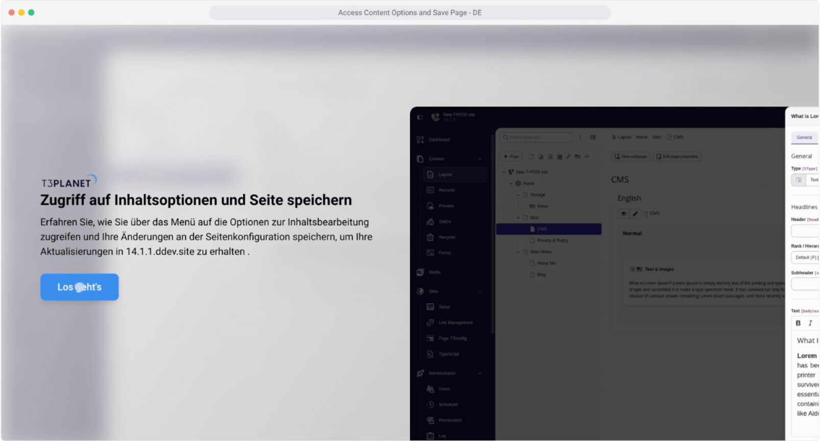 Auf die Inhaltsoptionen zugreifen und Seite speichern