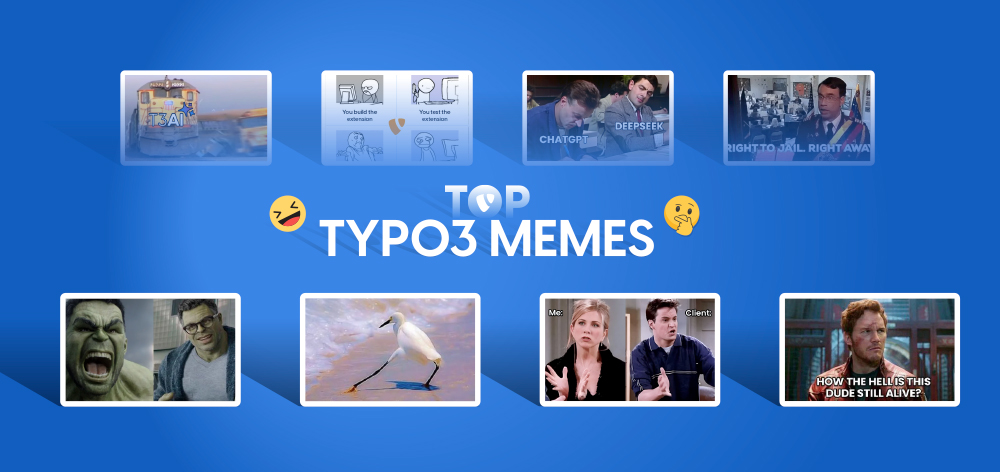 50 + TYPO3 Memes, die Ihren Tag verschönern