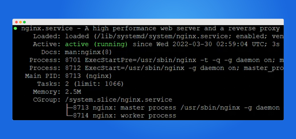 Ngix für TYPO3 AWS installieren
