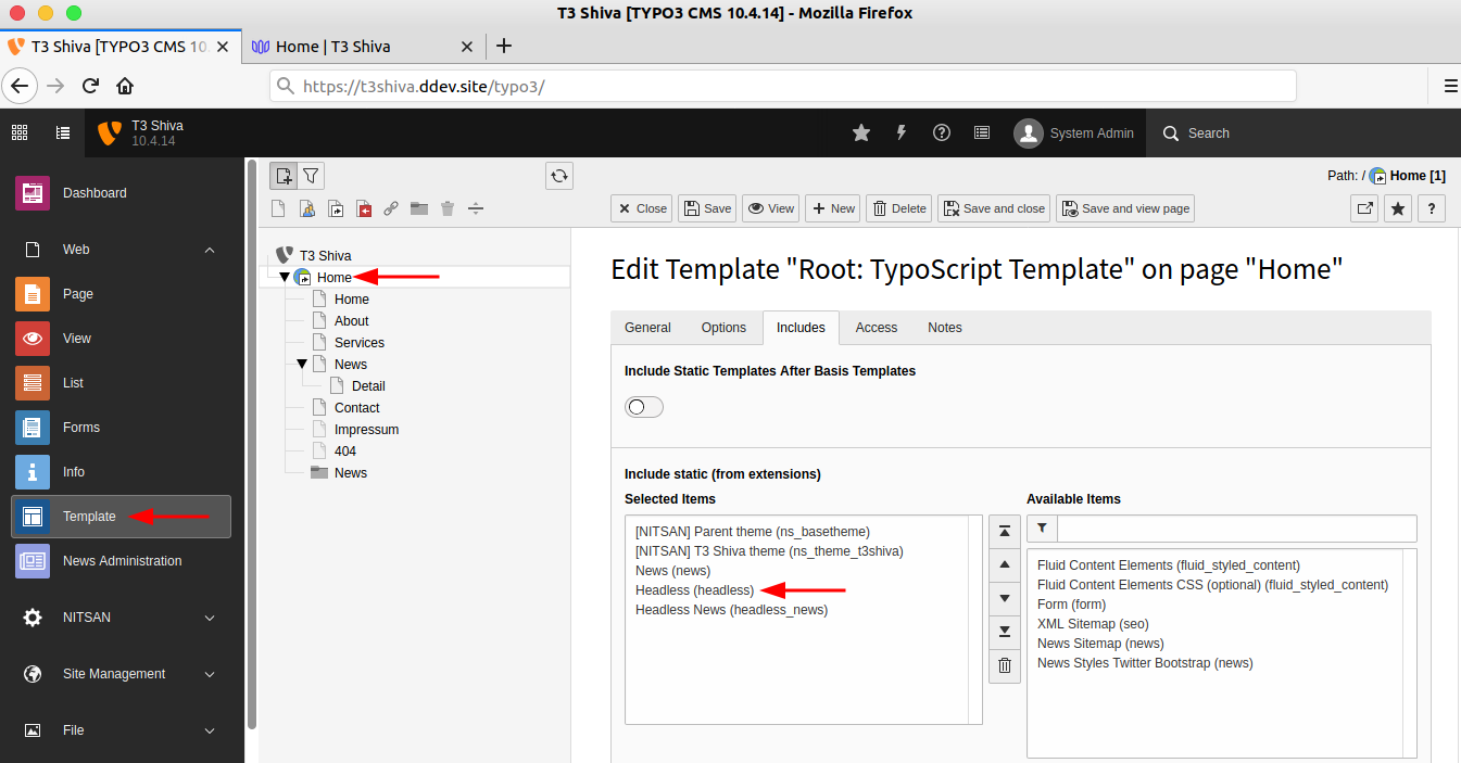 Statisches kopfloses TypoScript einbinden