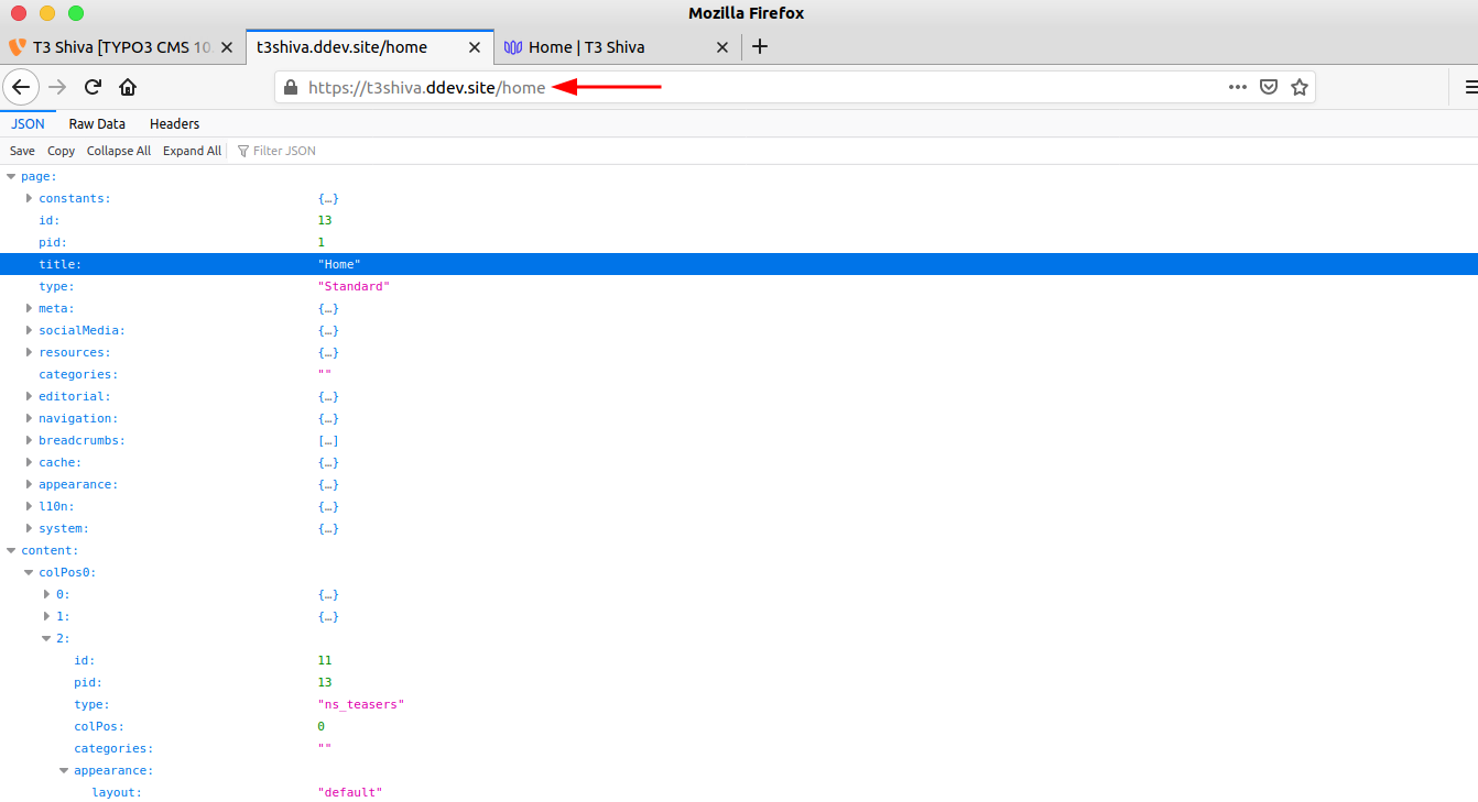 TYPO3 Headless APIs Startseite