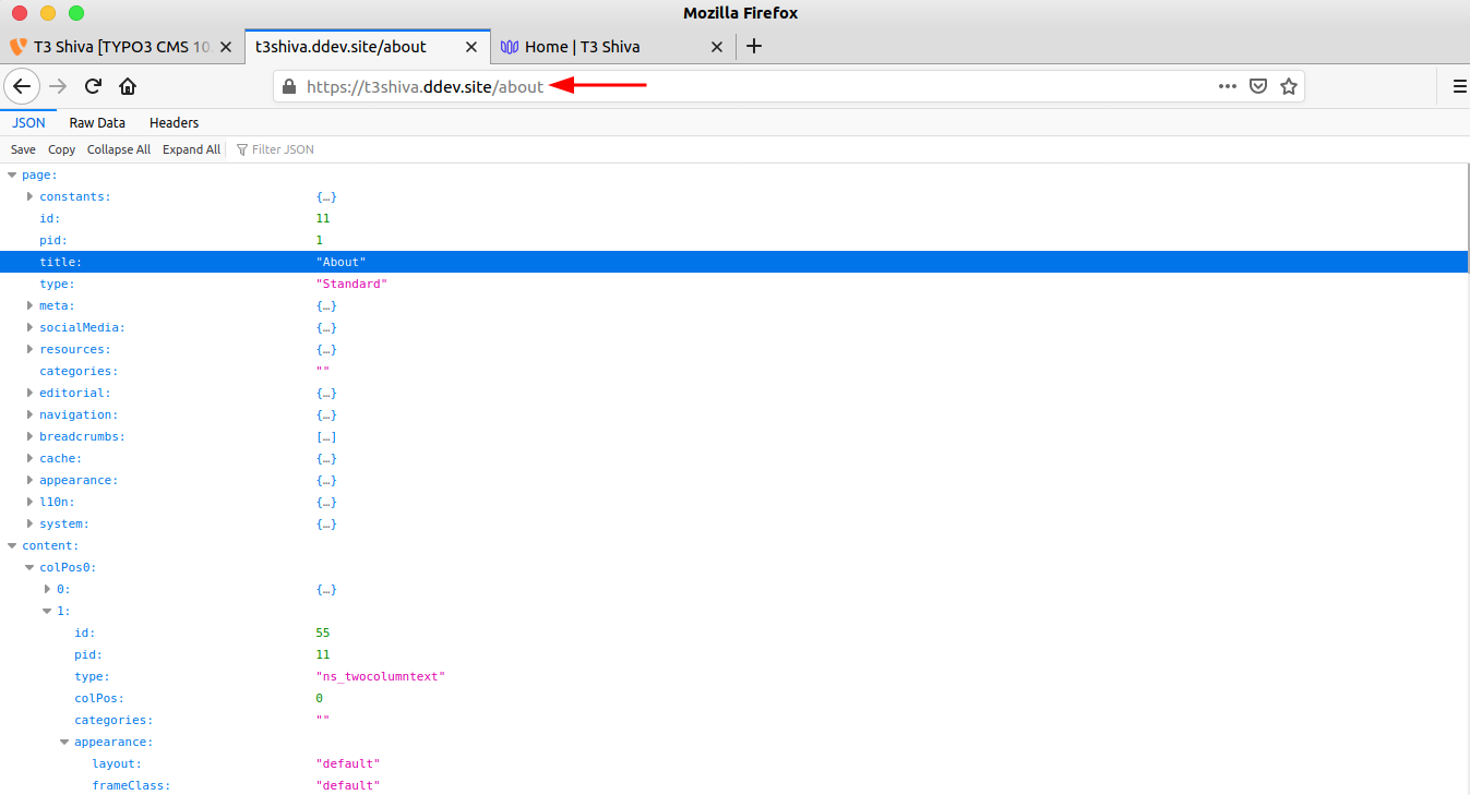 TYPO3 Headless APIs Innere Seite