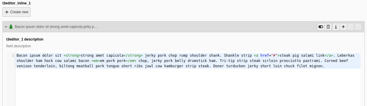 [Translate to German:] TCA 19. T3Editor Inline