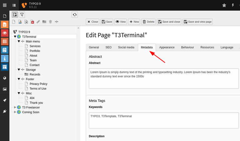 TYPO3 Basic SEO Meta-data  TYPO3 Basic SEO Meta-data
