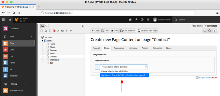 Choose your created form in the Plugin tab