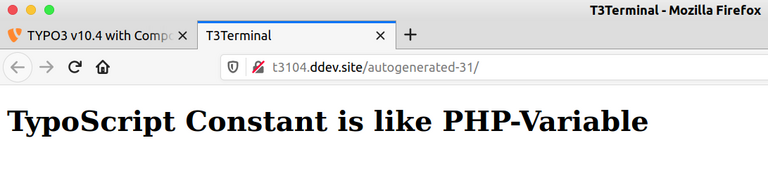 TypoScript Constant  TypoScript Constant