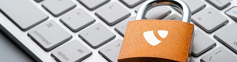 Monitor website security Monitor website security