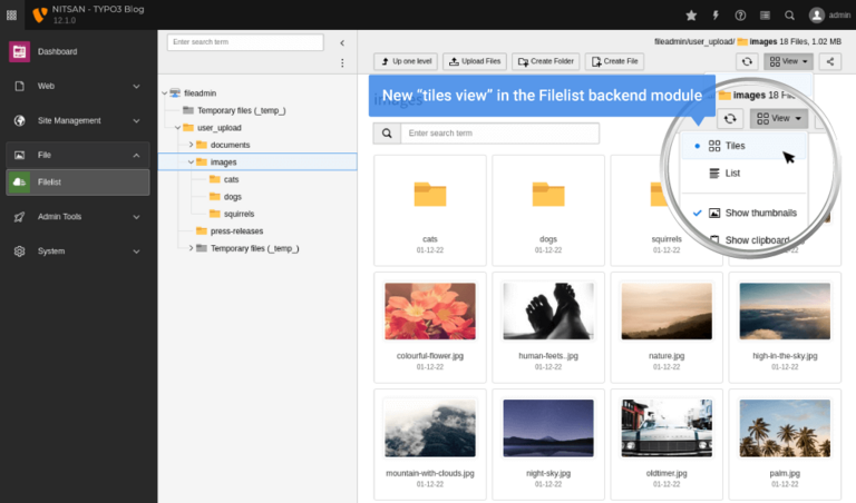 TYPO3 Backend Search in Model Window