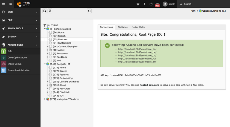 TYPO3 Solr Backend Report
