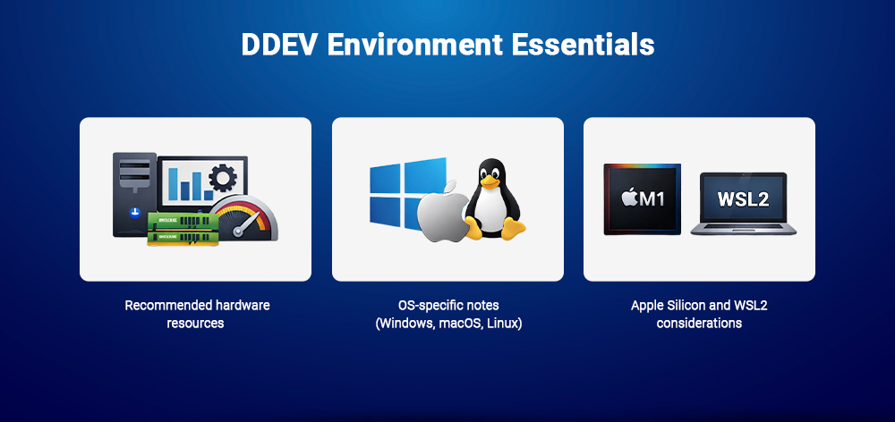 DDEV Environment Essentials
