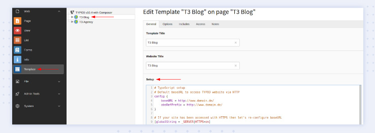Adapt code or add TypoScript into Setup field