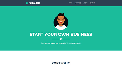 T3 Freelancer