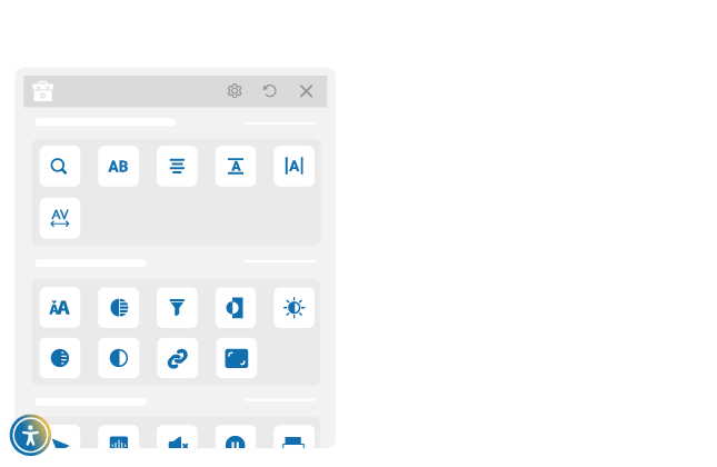 Accessibility Widget for Better Visitor Experience