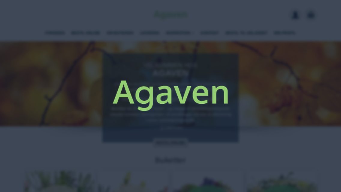 Website von Agaven Blomster, TYPO3 Referenz mit All in One Gallery for TYPO3