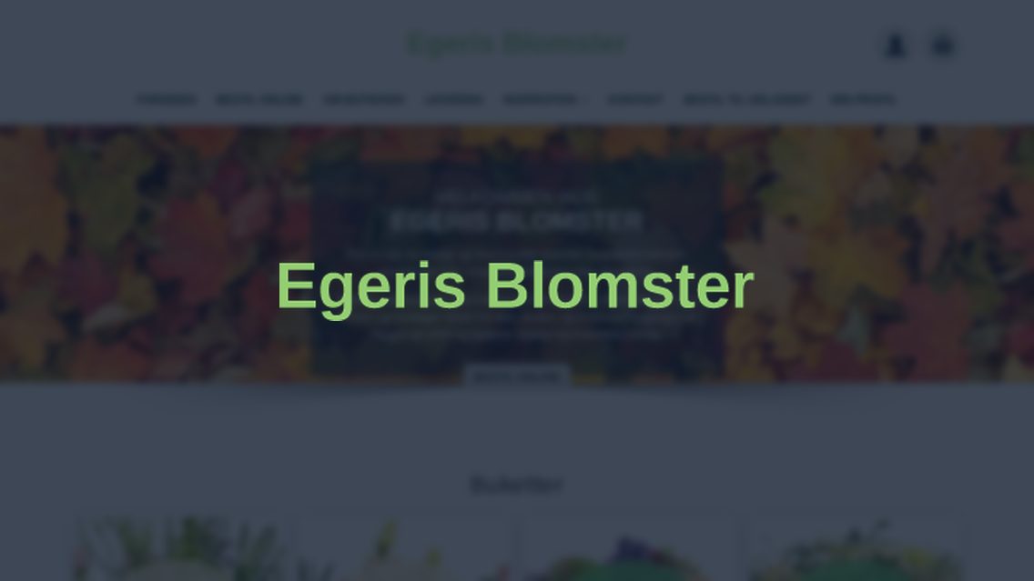 Website von Egeris Blomster, TYPO3 Referenz mit All in One Gallery for TYPO3