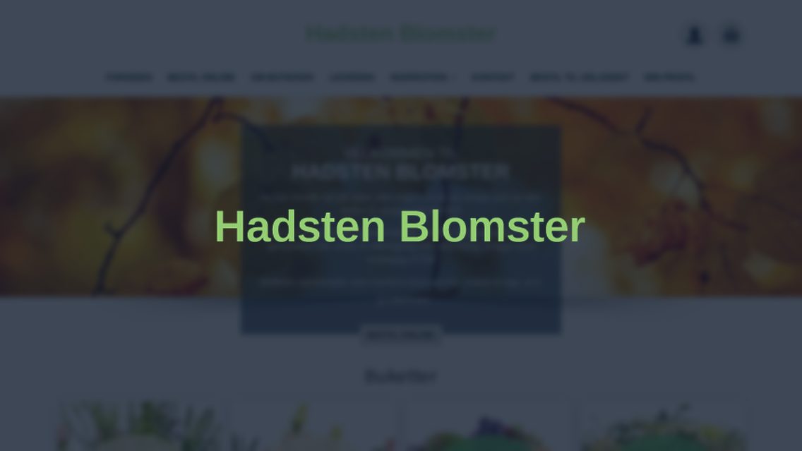 Website von Hadsten Blomster, TYPO3 Referenz mit All in One Gallery for TYPO3