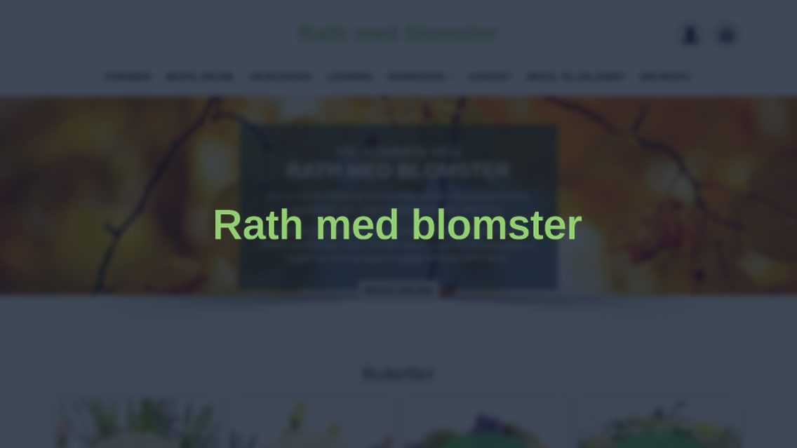 Website von Rath Med Blomster, TYPO3 Referenz mit All in One Gallery for TYPO3