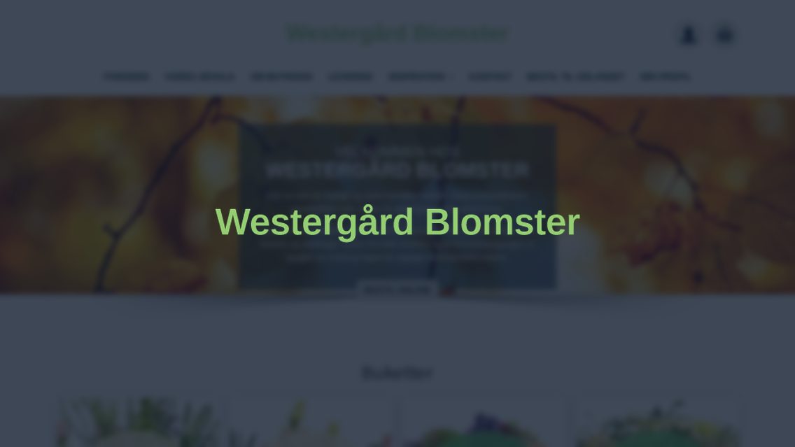 Website von Westergaard Blomster, TYPO3 Referenz mit All in One Gallery for TYPO3