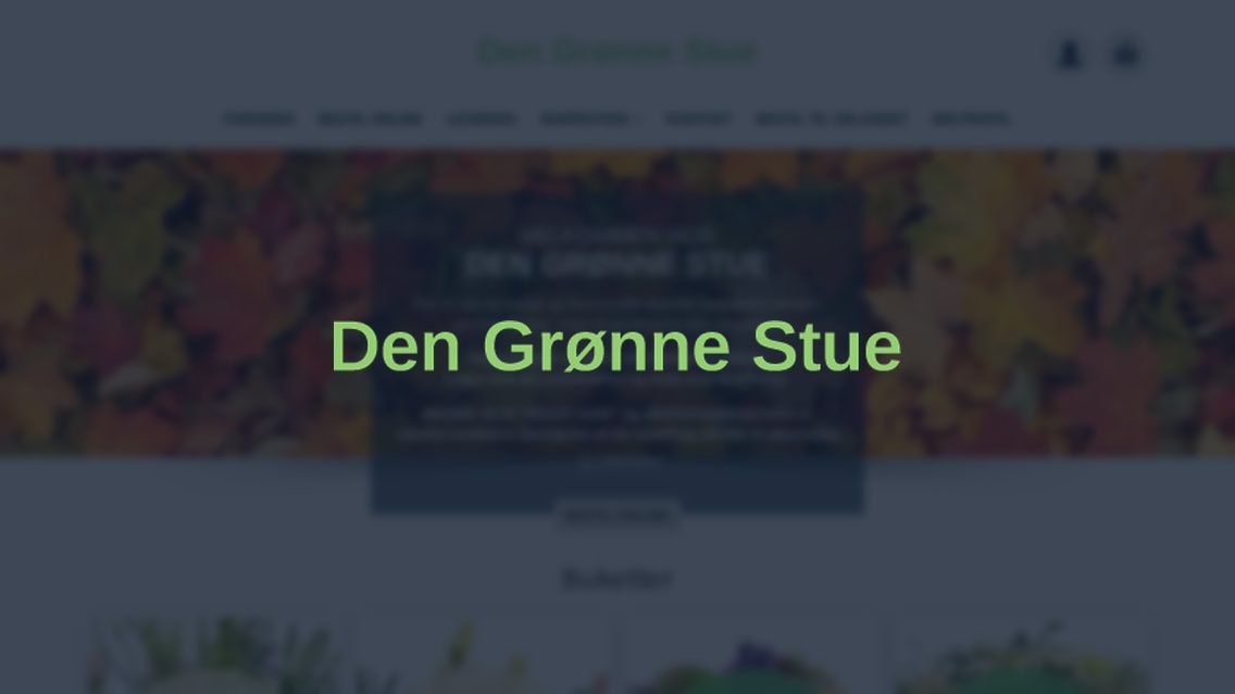 Website von Den Grønne Stue, TYPO3 Referenz mit All in One Gallery for TYPO3