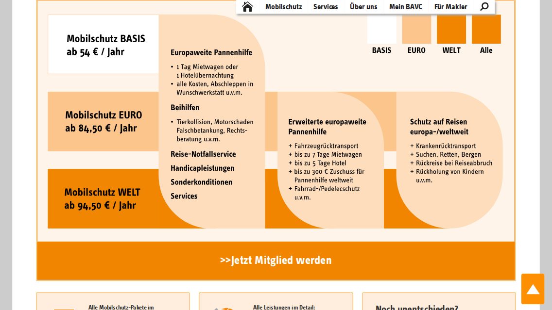 Website von BAVC-Bruderhilfe e. V., TYPO3 Referenz mit T3 NGO