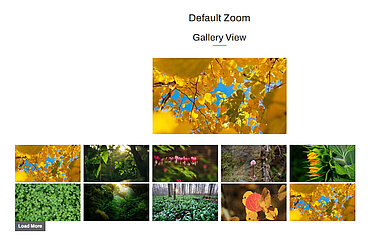 Zoom-Gallery.jpg