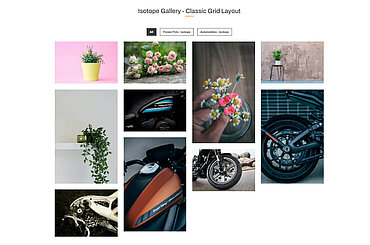 Isotope-Gallery.jpg