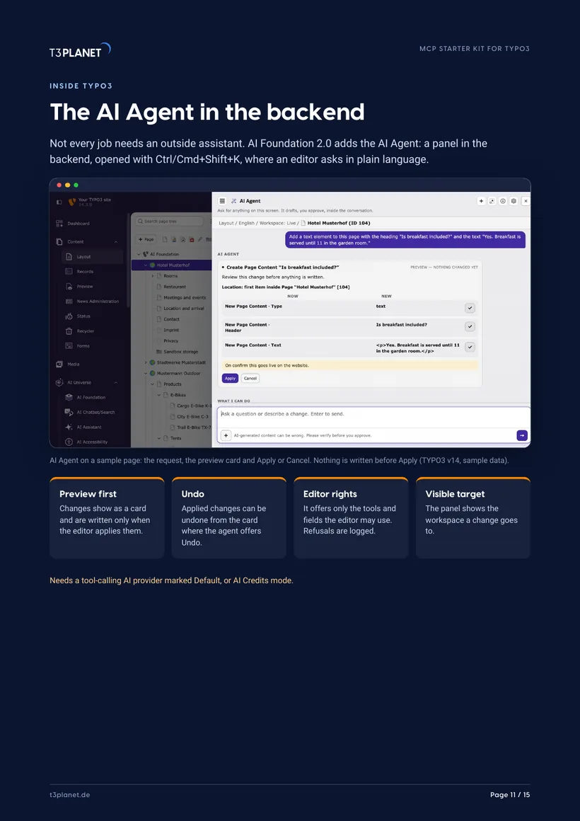 Sample page from the MCP Starter Kit: the AI Agent in the backend
