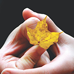 5.00 Marcel Foerster