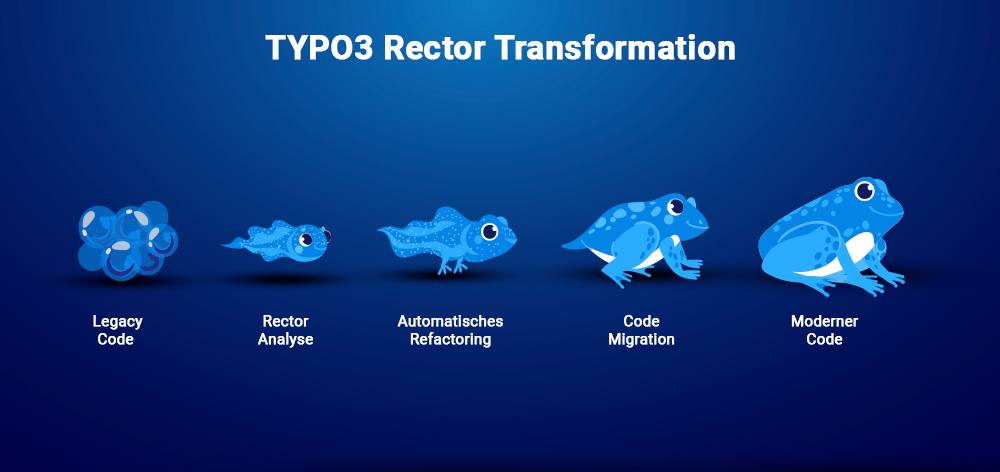 TYPO3-Rektor-Transformation TYPO3-Rektor-Transformation