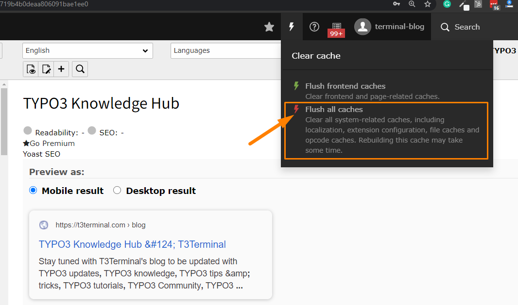 TYPO3 Frontend-Cache löschen