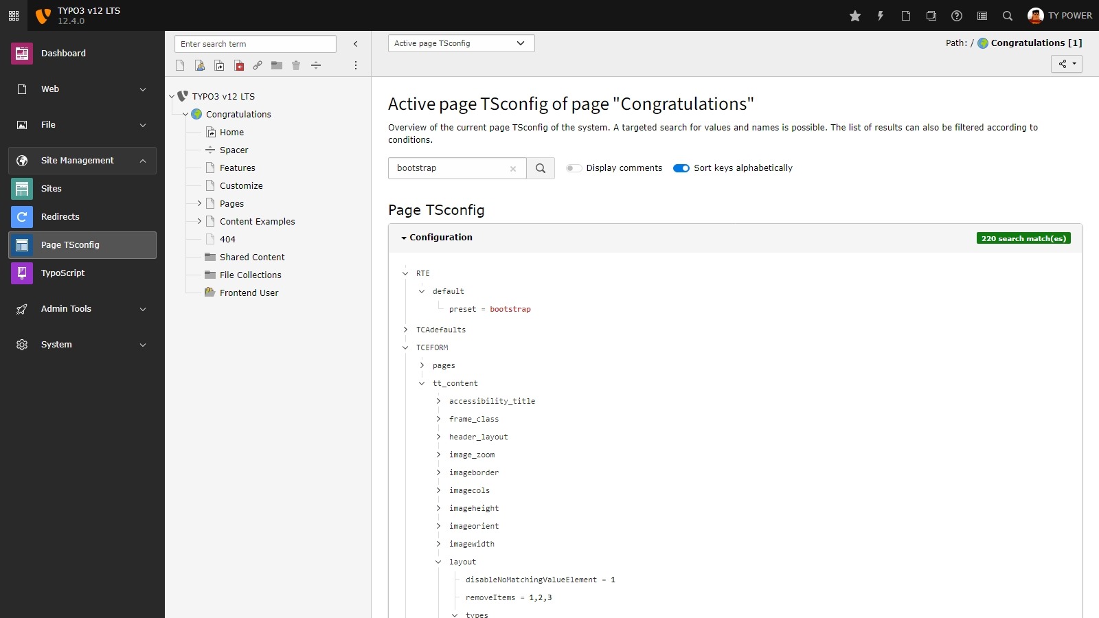 Active typo3 config