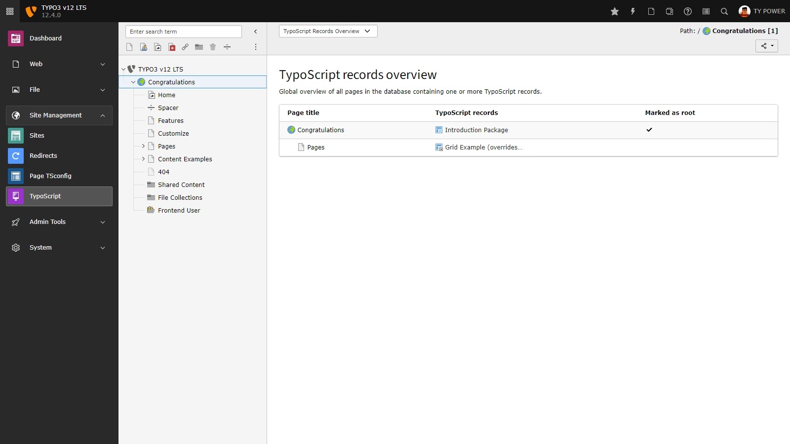 TYPO3 config record overview 